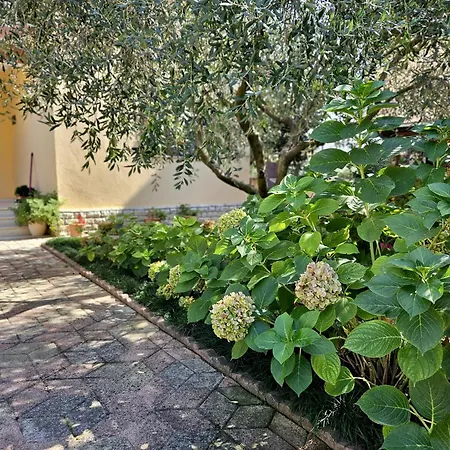 Seaside Bliss 1 * Golem (Tirana)