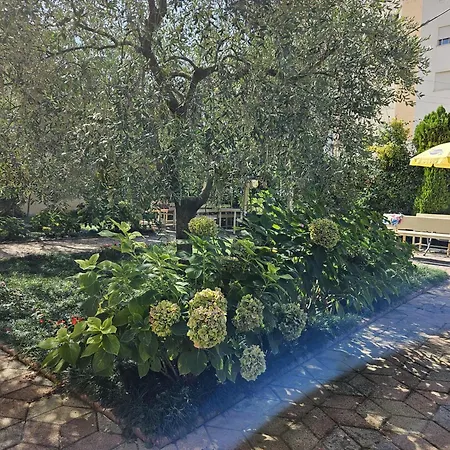 Seaside Bliss 1 ゴーレム