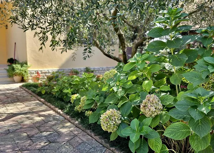 Seaside Bliss 1 * Golem (Tirana)